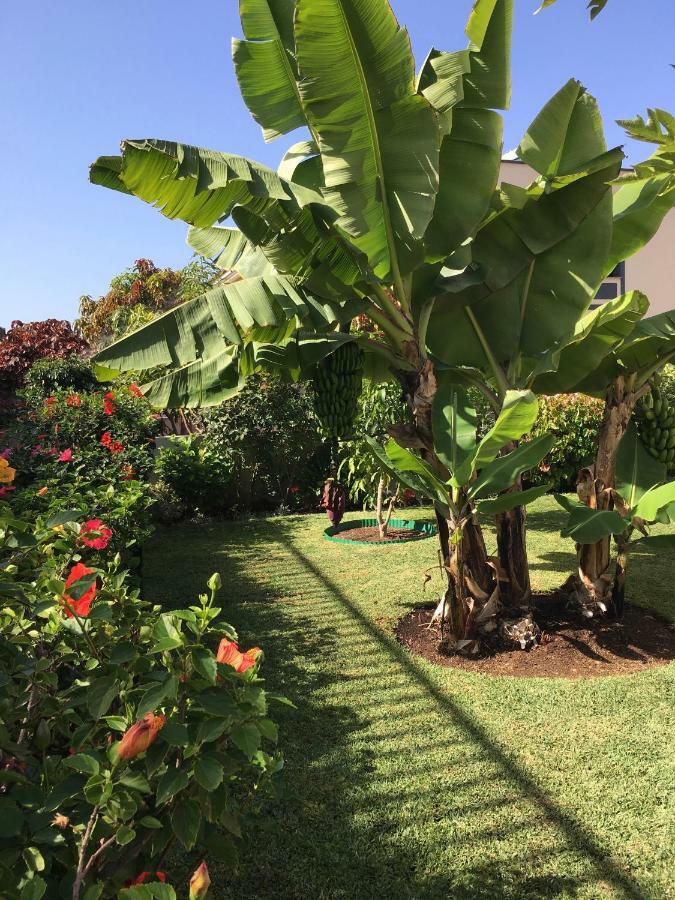 La Quinta Garden Villa Santa Ursula  Ngoại thất bức ảnh